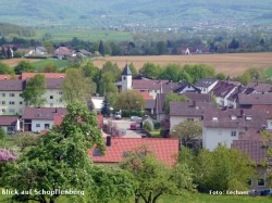 2015aktuellbezgenriet