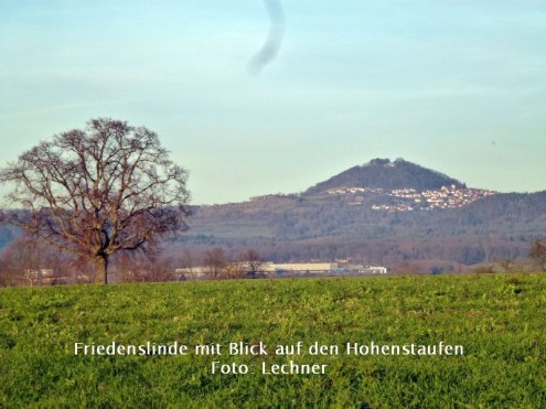 2016seniorenmai Friedenslinde