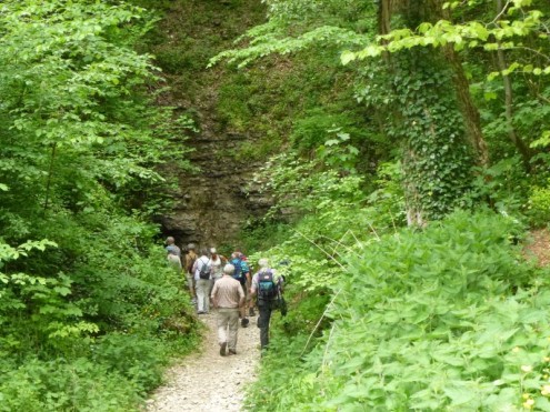 2016Maiwanderung3