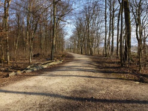 2018aktuellseniorenaprilgruppe2