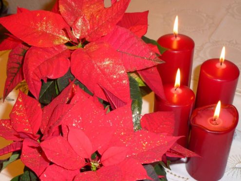 2018aktuellseniorendezember