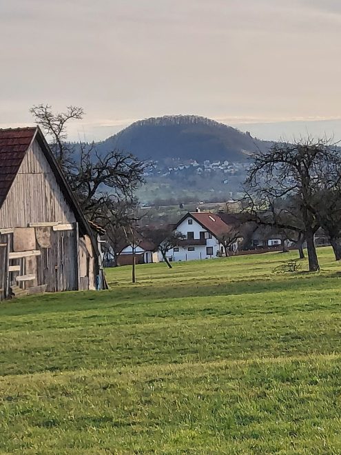 2022seniorenNovember