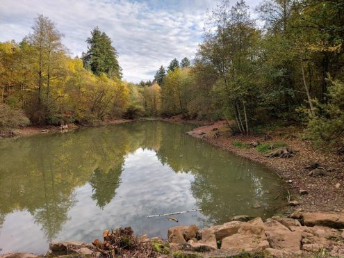 2023seniorenaktuellmaerz